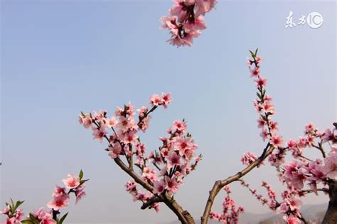 男增加桃花運